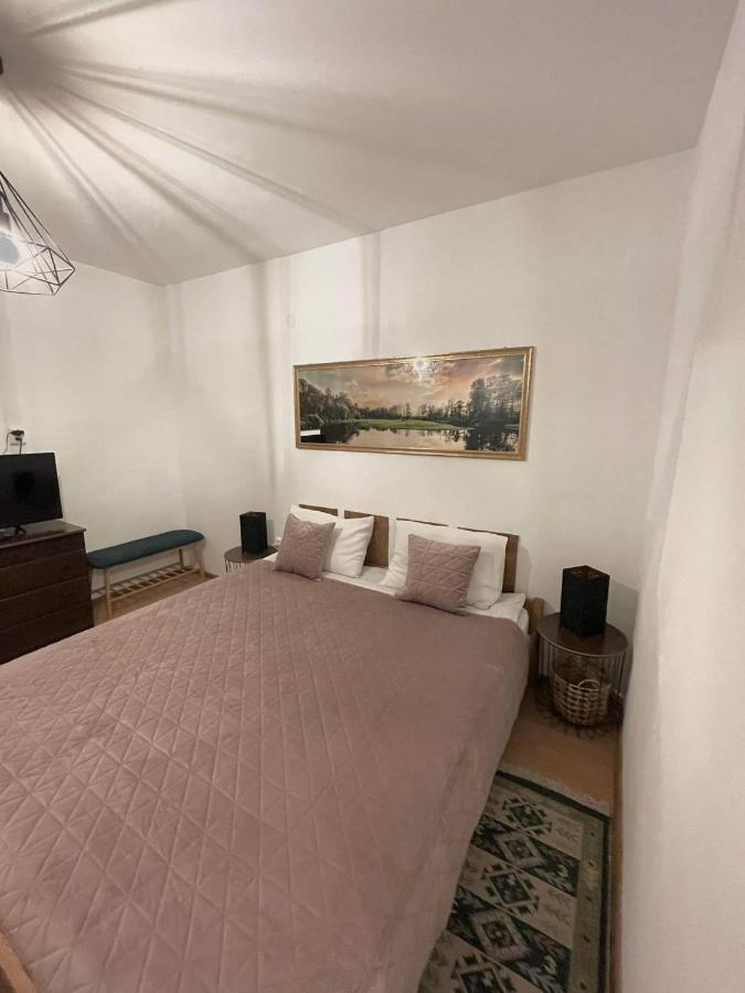 Cm Studio Apartman Segesvár Kültér fotó