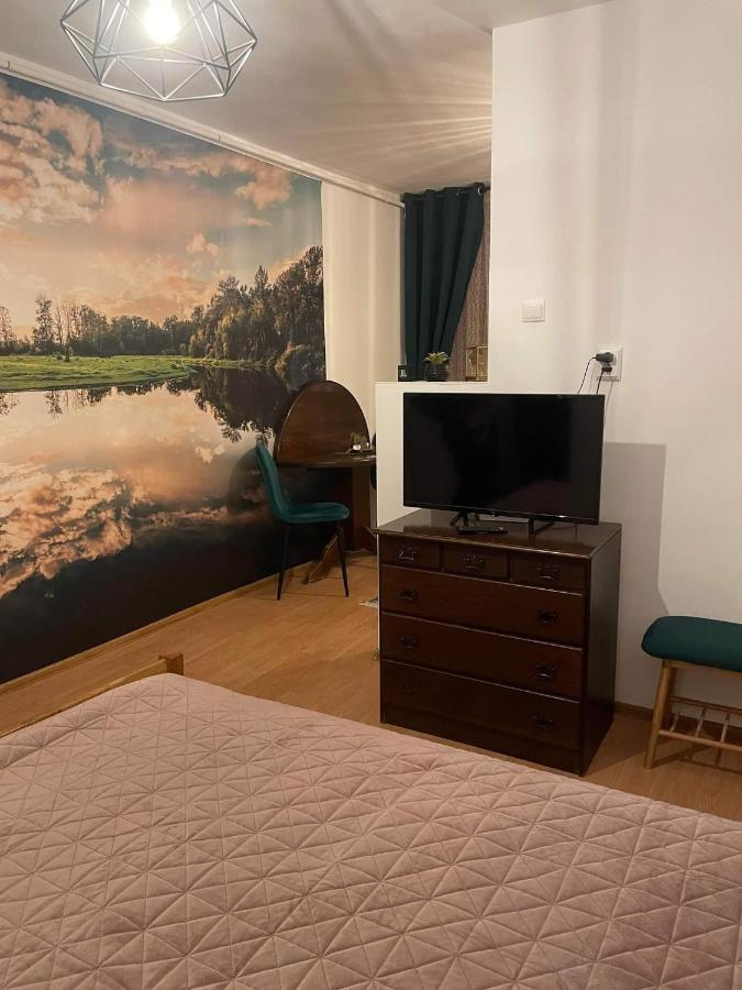 Cm Studio Apartman Segesvár Kültér fotó
